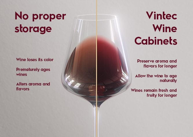 Explore Vintec s 5 Pillars of Wine Storage Vintec SG