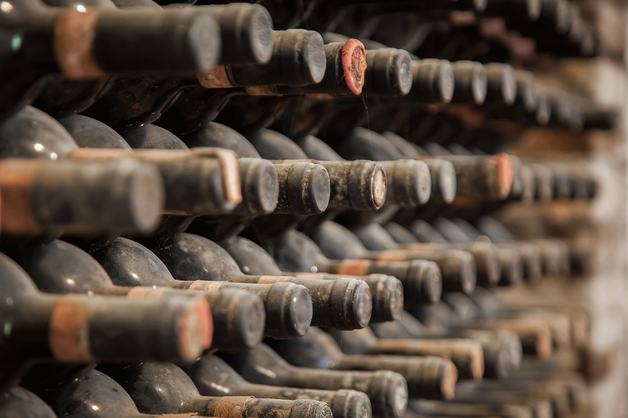 Dusty wine bottles stored on the sides