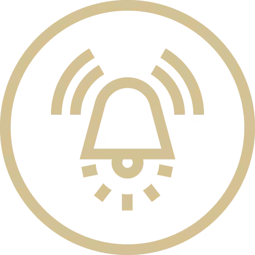 features-point-icon