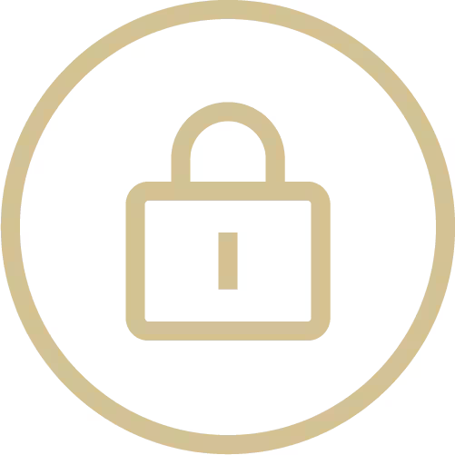 features-point-icon