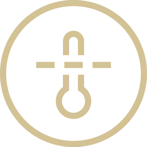 features-point-icon