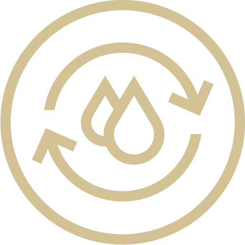 features-point-icon