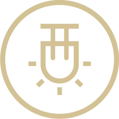 features-point-icon