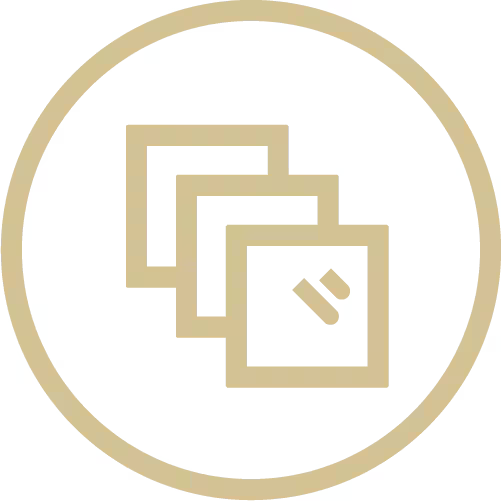 features-point-icon