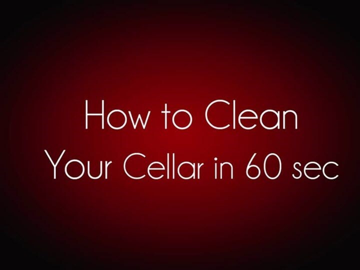 Six expert tips for cellar care