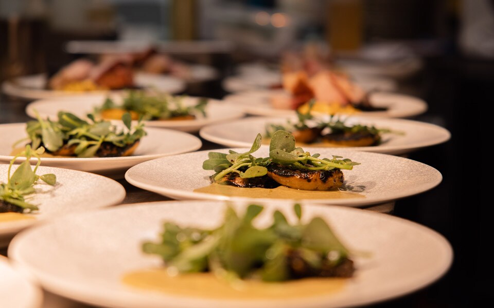 Elevate your wine experience