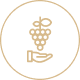 NOS IMPORTA TU VINO