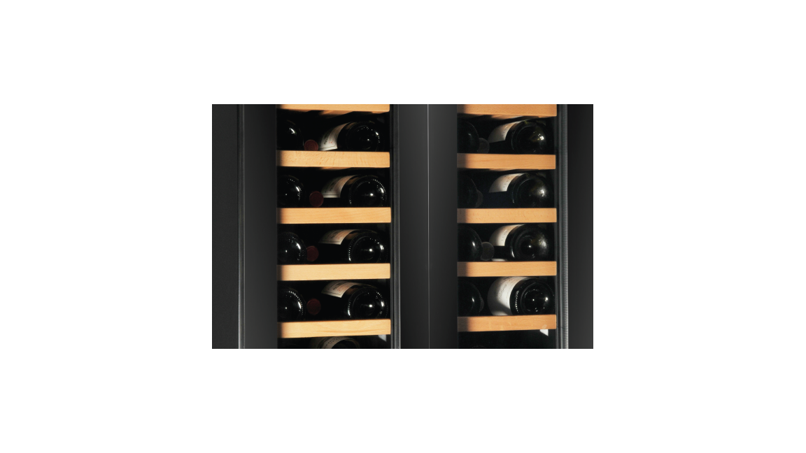 Two Separate Chambers