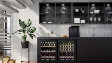 100 bottle wine cellar best sale