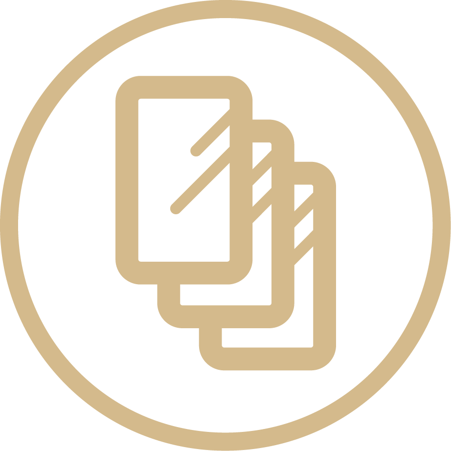 feature icon