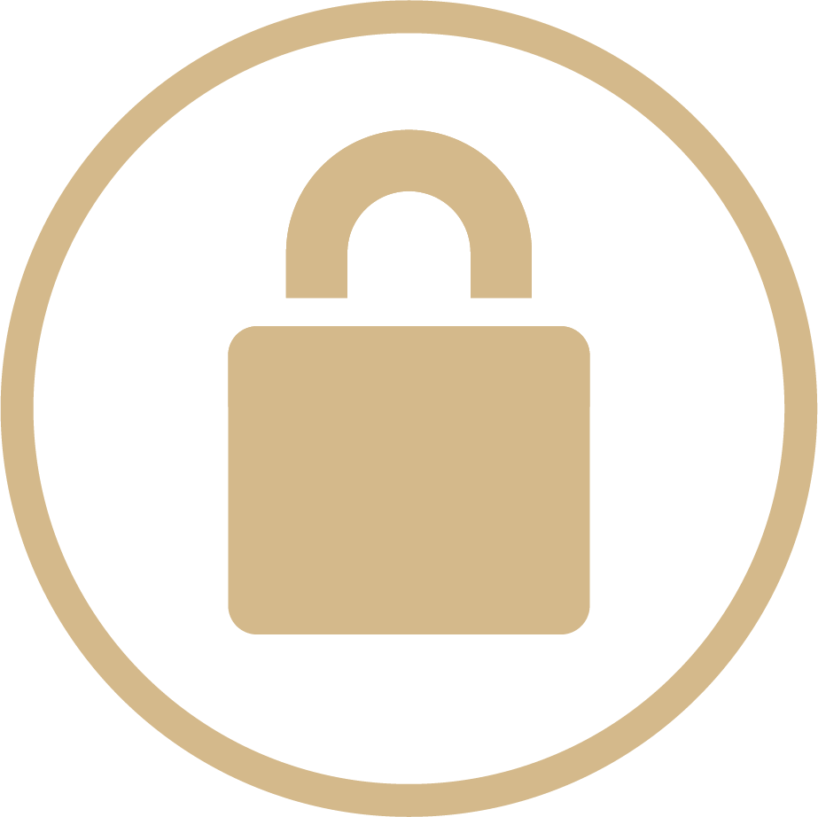 feature icon