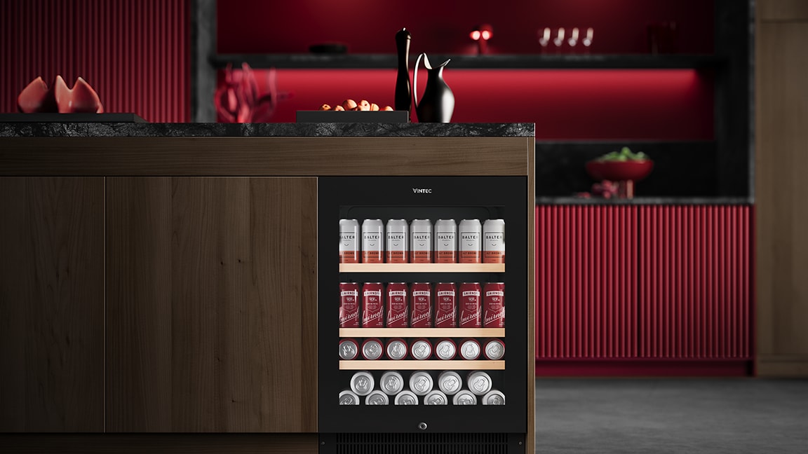 Freestanding or Slot In installation possibility