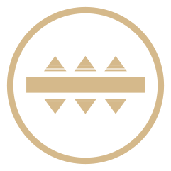 feature icon