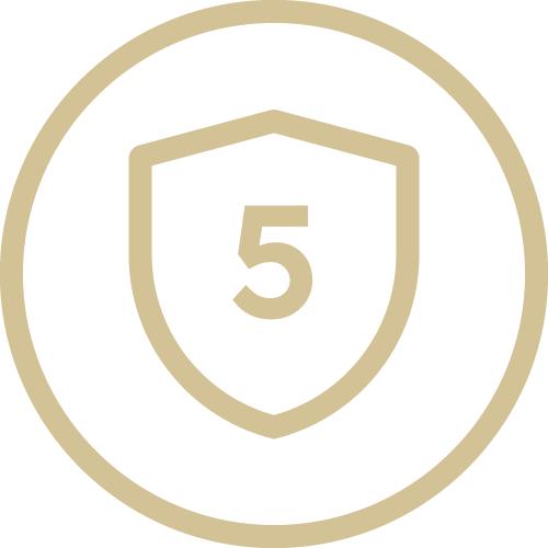 feature icon