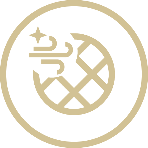 feature icon