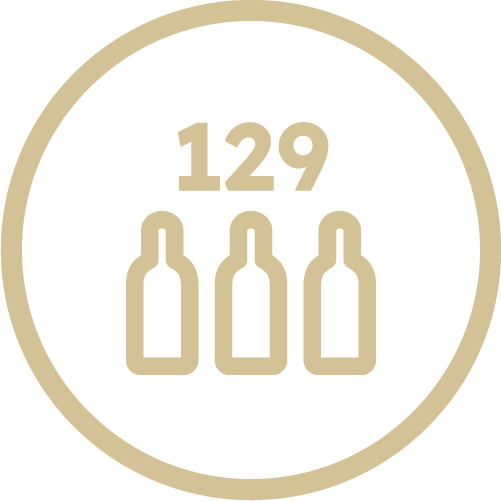 feature icon