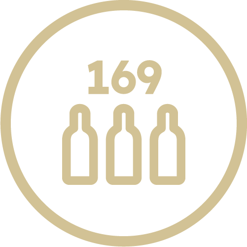feature icon