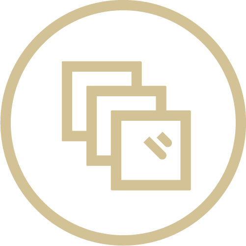 feature icon