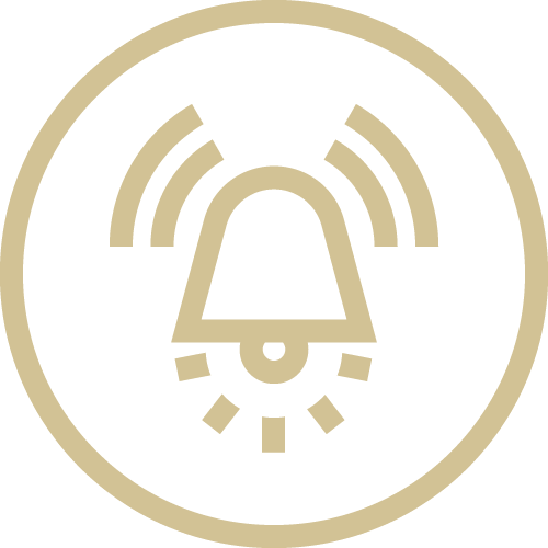 feature icon