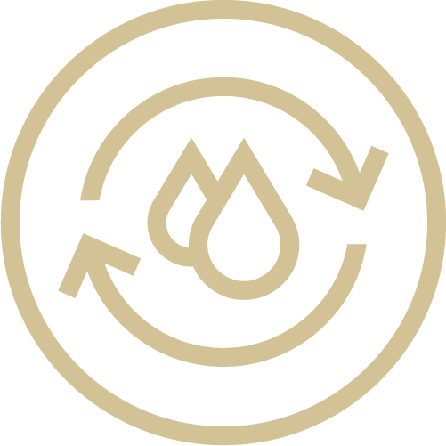 feature icon