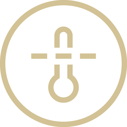 feature icon