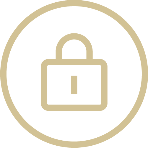feature icon