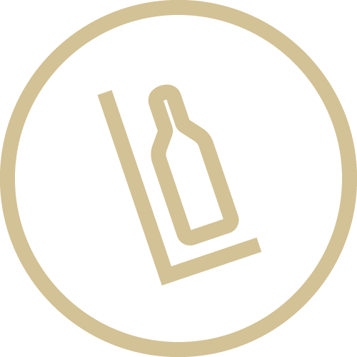 feature icon