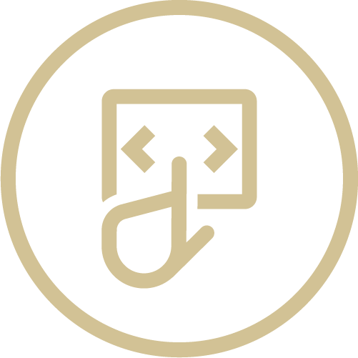 feature icon