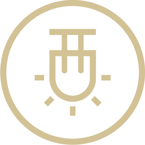 feature icon