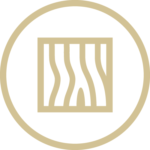 feature icon